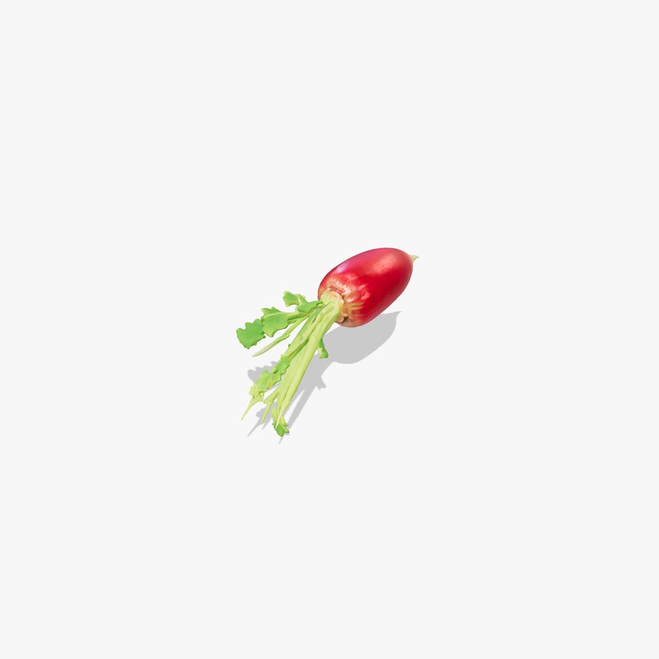 Realistic Red Radish Vegetation model pack